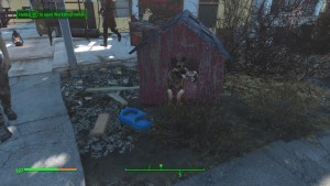 I didn't forget Dogmeat!