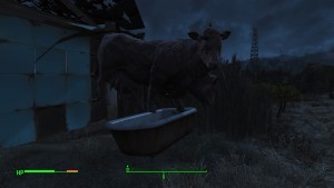 My Brahmin does this thing...